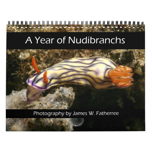 A Year of Nudibranchs Calendar (Cover)