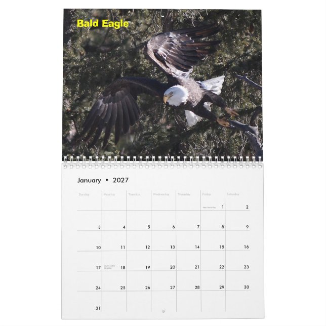 A Year of Raptors Calendar (Jan 2027)