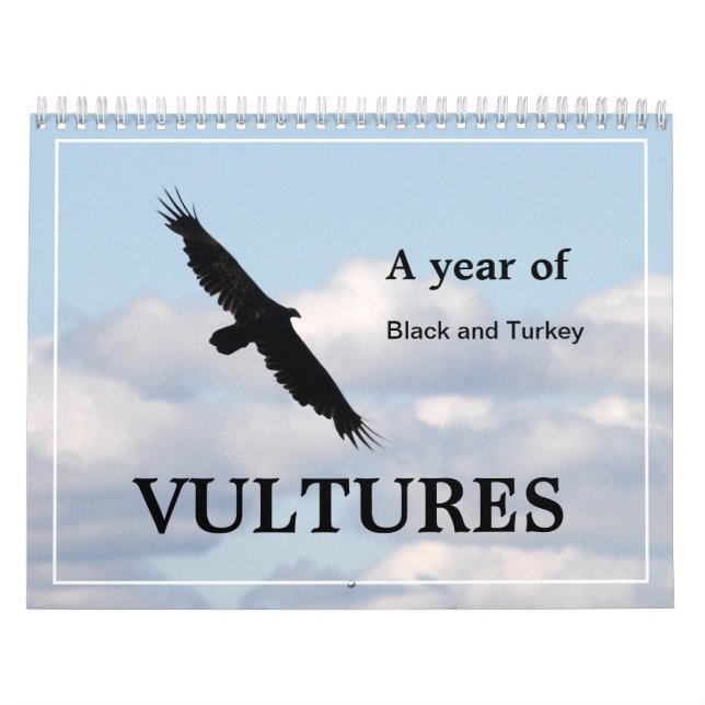 A Year of Vultures Black and Turkey Calendar (Cover)