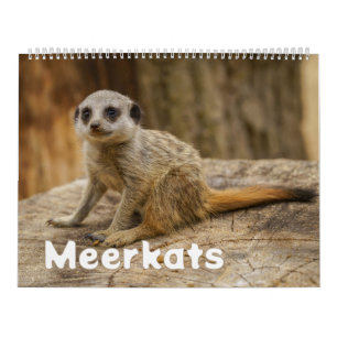 A Year with Meerkats Calendar