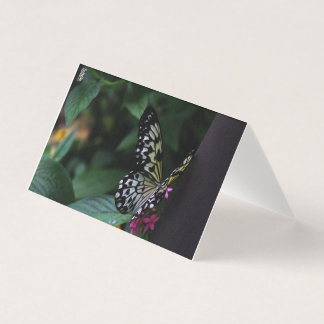 A Yellow Butterfly on Pink Flowers