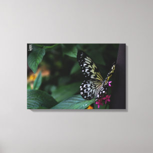 A Yellow Butterfly on Pink Flowers Canvas Print