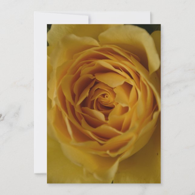 A Yellow Rose 60th Birthday Party Invitation (Back)