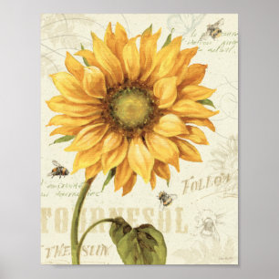 A Yellow Sunflower Poster
