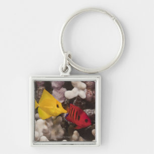 A Yellow Tang Key Ring