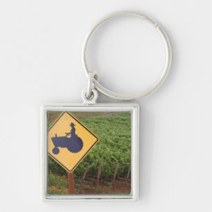A yellow tractor crossing sign in the vineyard key ring