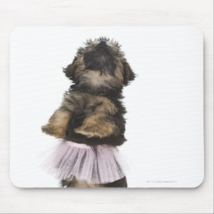 A Yorkie-poo puppy in a tutu on her hind legs. Mouse Pad