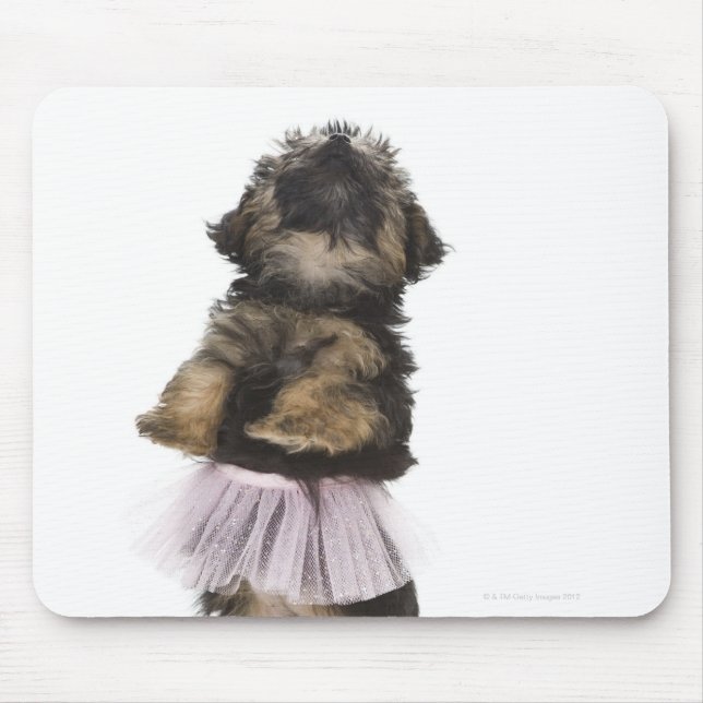 A Yorkie-poo puppy in a tutu on her hind legs. Mouse Pad (Front)
