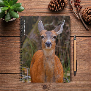 A Young Black-Tailed Deer Smiles Notebook