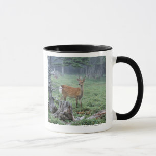 A young deer in a forest clearing mug