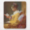 A Young Girl Reading, The Reader by J. Fragonard