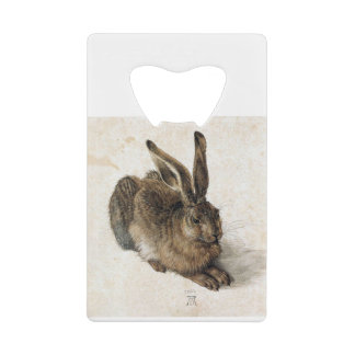 A Young Hair - Albrecht Durer - c1502