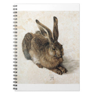 A Young Hair - Albrecht Durer - c1502 Notebook