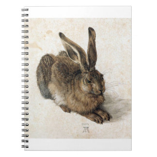 A Young Hair - Albrecht Durer - c1502 Notebook