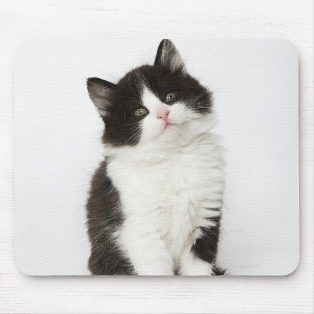 A young kitten sitting looking into the camera. mouse pad (Front)