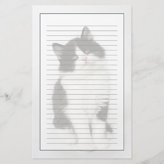 A young kitten sitting looking into the camera stationery (Front)