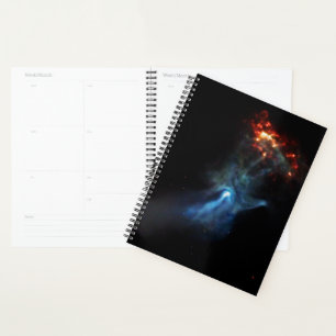 A Young Pulsar Shows Its Hand Planner