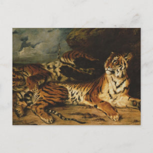 A Young Tiger Playing with Its Mother by Delacroix Postcard