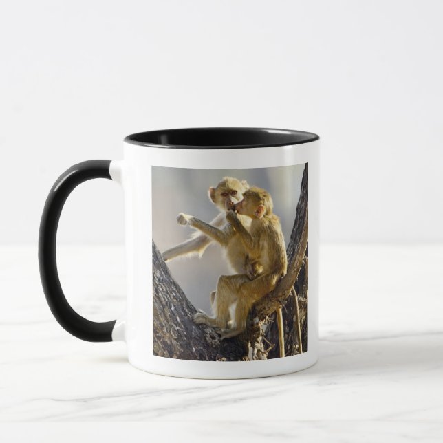 A young Yellow baboon  (Papio cynocephalus) Mug (Left)