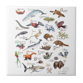 A-Z of amazing animals Tile