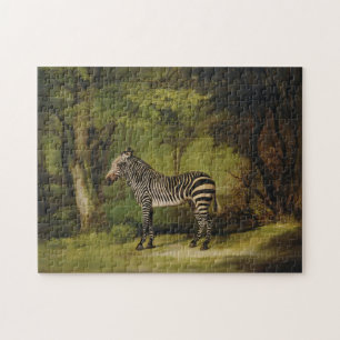 A Zebra, 1763 (oil on canvas) Jigsaw Puzzle