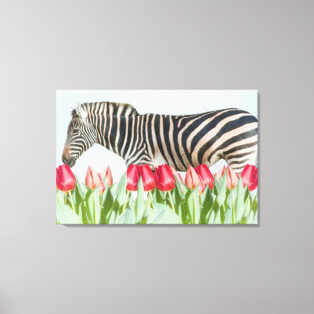 A Zebra Among the Tulips Canvas Print (Front)