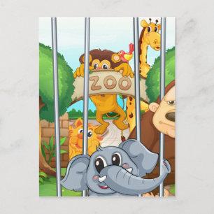a zoo and the animals postcard