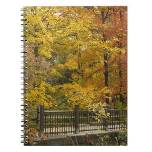 aa spiral notebook