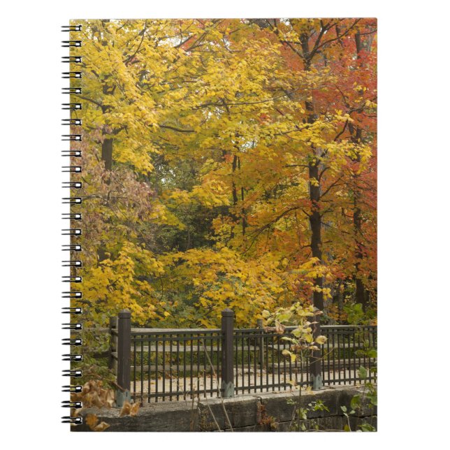 aa spiral notebook (Front)