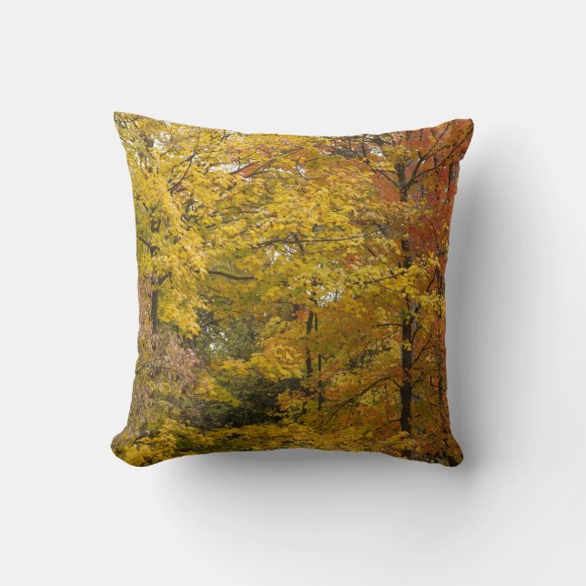 aaa cushion (Front)