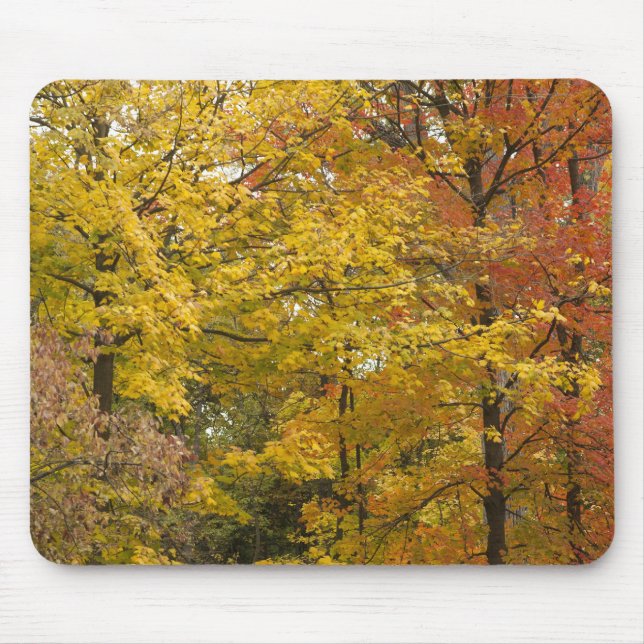 aaa mouse pad (Front)