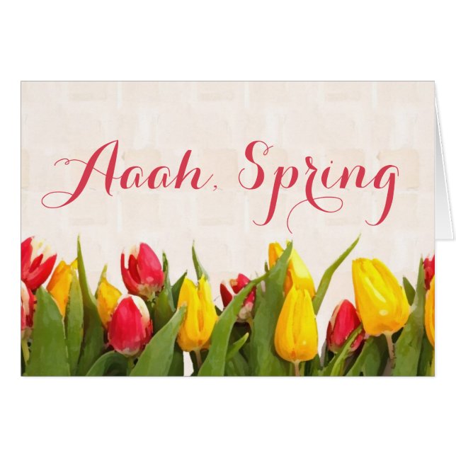 Aaah Spring Colourful Tulip Line (Front Horizontal)