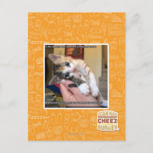 Aaaws Postcard