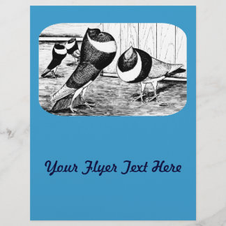 Aachen Band Cropper Pigeons Flyer