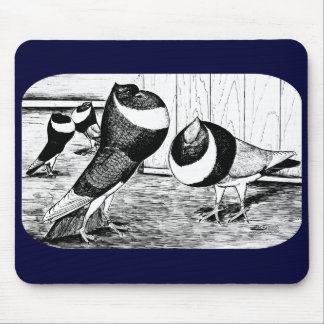 Aachen Band Cropper Pigeons Mouse Pad