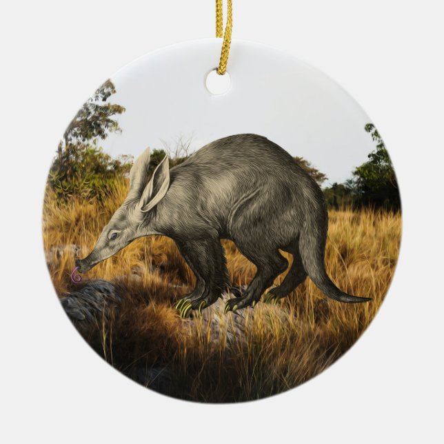Aardvark Ceramic Tree Decoration (Front)