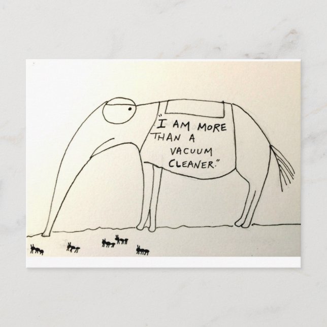 Aardvark's offerings postcard (Front)