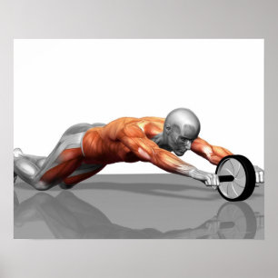 Ab Wheel Poster