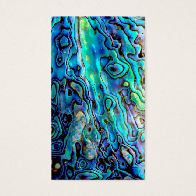 Abalone shell (Front)