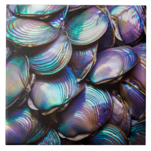 Abalone Shell Abstract Pattern Tile