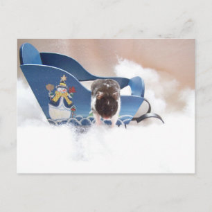 abandon sled!! postcard