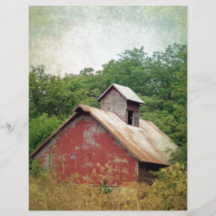 Abandoned and Overgrown
