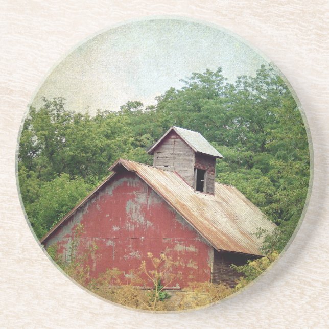 Abandoned and Overgrown Coaster (Front)