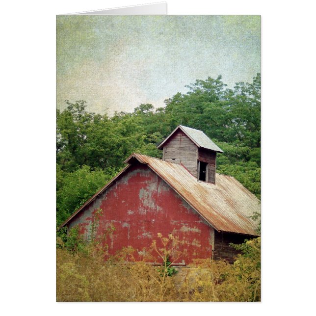 Abandoned and Overgrown Red Barn (Front)