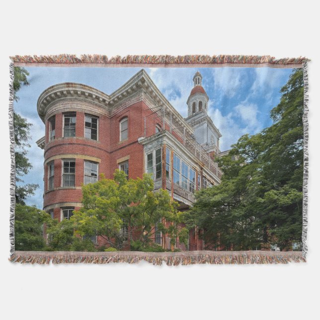 Abandoned Asylum Throw Blanket (Front)