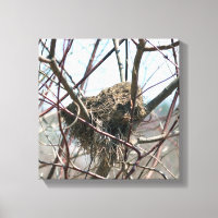 Abandoned Bird Nest In Spring