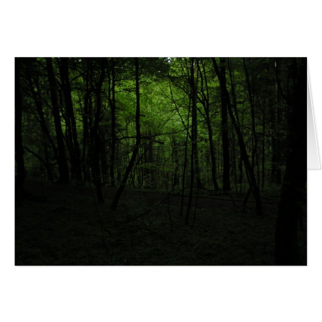 Abandoned dark forest (Front Horizontal)