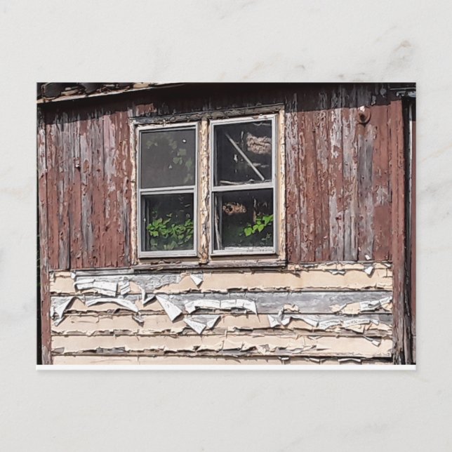  abandoned house with flowers at window postcard (Front)