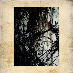 Abandoned Mansion Scrapbook Paper