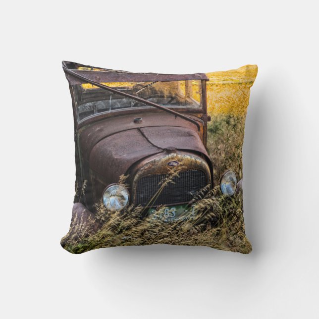 Abandoned old car in tall grass cushion (Front)